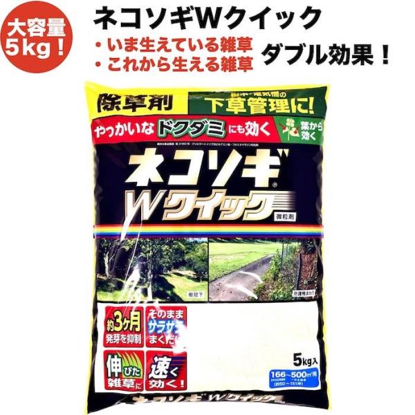 セット商品