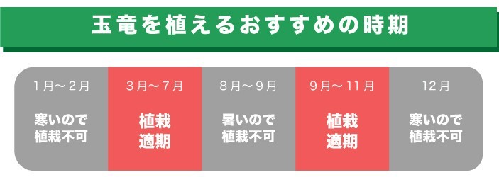 植えるおすすめな時期