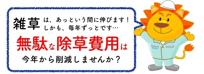 雑草はあっという間に伸びます 無駄な除草費用を今年から削減しましょう