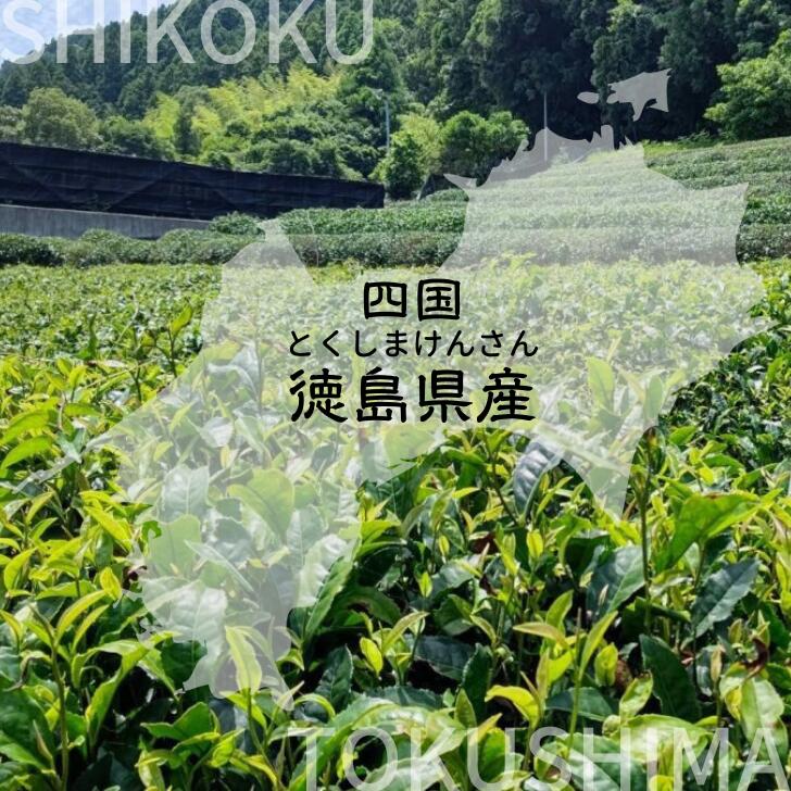 阿波番茶 20g 徳島県産 送料無料 あわばんちゃ ネコポス 爽やかな酸味