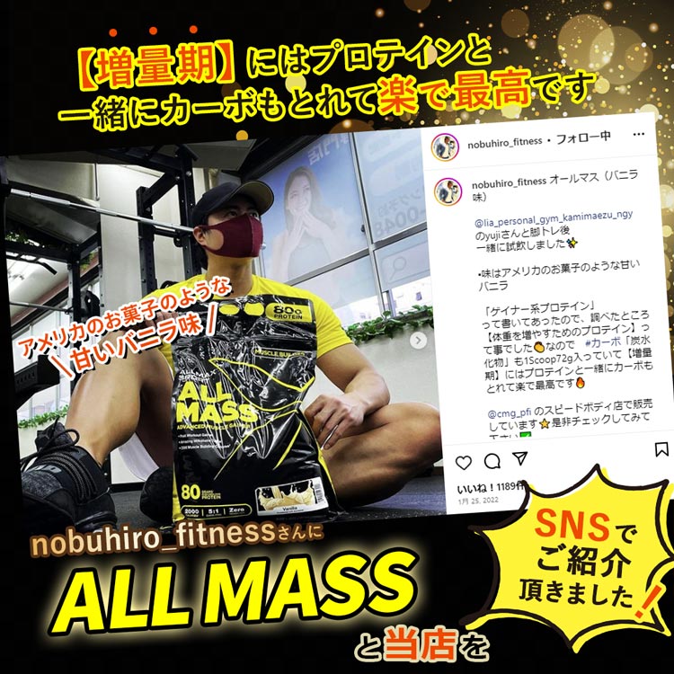 オールマス ゲイナー チョコレート味 12lb （5.44kg） Allmax (オール