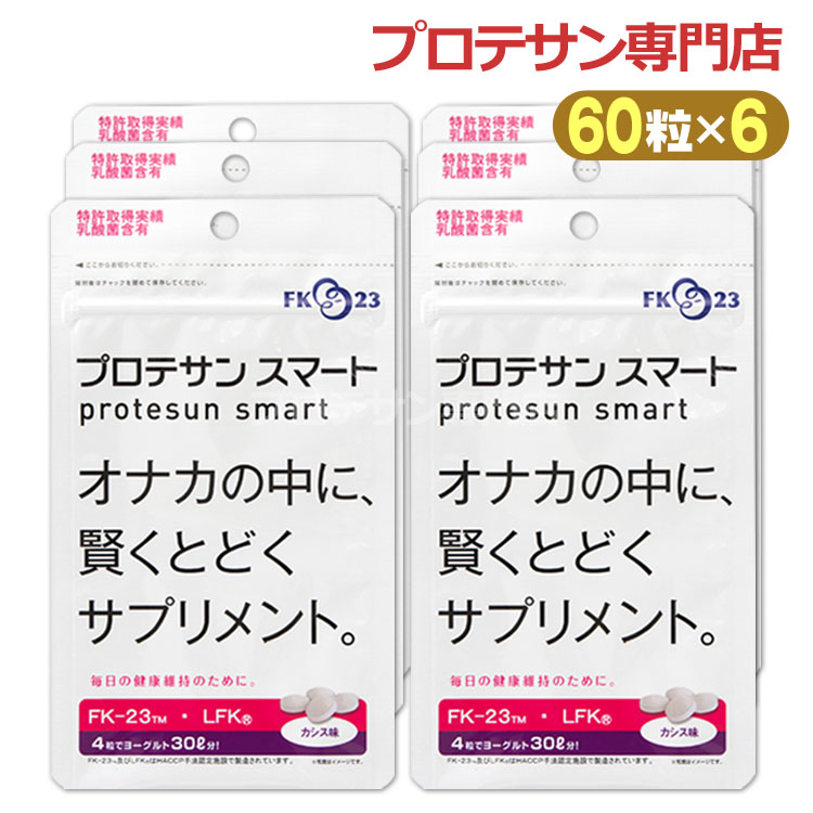 プロテサン スマート 60粒◆6袋セット カシス味 LFK FK-23菌 濃縮乳酸菌 ニチニチ製薬 プロテサン専門店