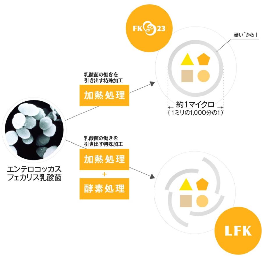 Zoot 60粒 錠剤 ペット用乳酸菌 日本製 ニチニチ製薬 メール便 Zoot 60粒 錠剤 ペット用乳酸菌 日本製 ニチニチ製薬 メール便