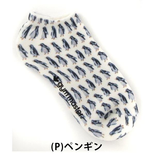 gym master ジムマスター ハッピーペイントアンクルソックス G957394 靴下 ショート丈 くるぶし 柄 アウトドア | gym master | 06