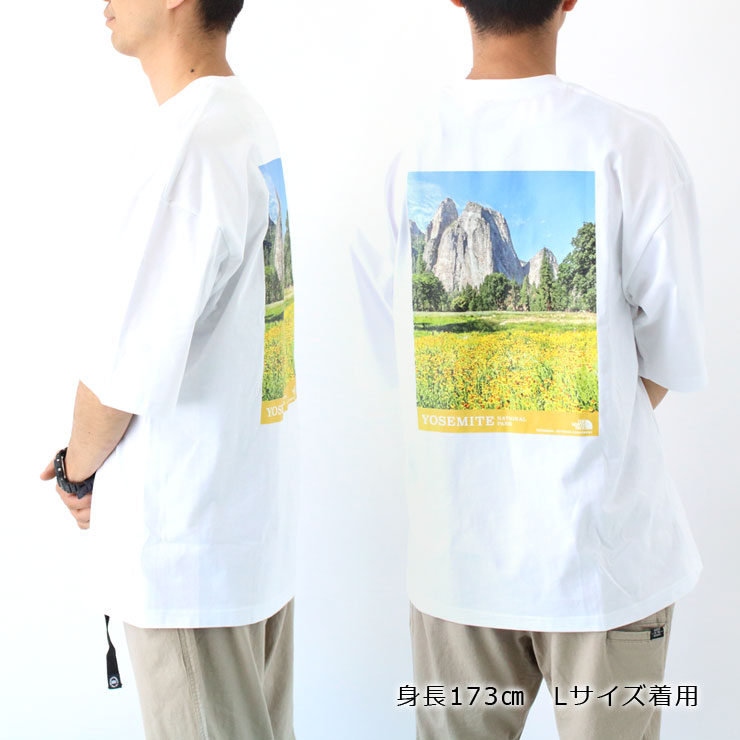 THE NORTH FACE（ザ ノースフェイス） tシャツ メンズ バックプリント 