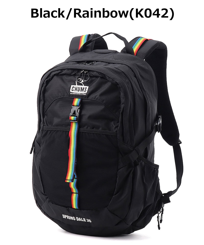 CHUMS チャムス Spring Dale 25 スプリングデール25 CH60-4098 メンズ レディース リュック バックパック 25L レインカバー 登山 トレッキング 旅行 アウトドア | CHUMS | 01
