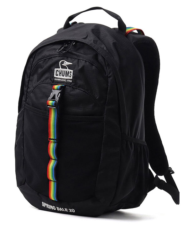 CHUMS チャムス Spring Dale 20 スプリングデール20 CH60-4099 デイパック リュック | CHUMS | 01