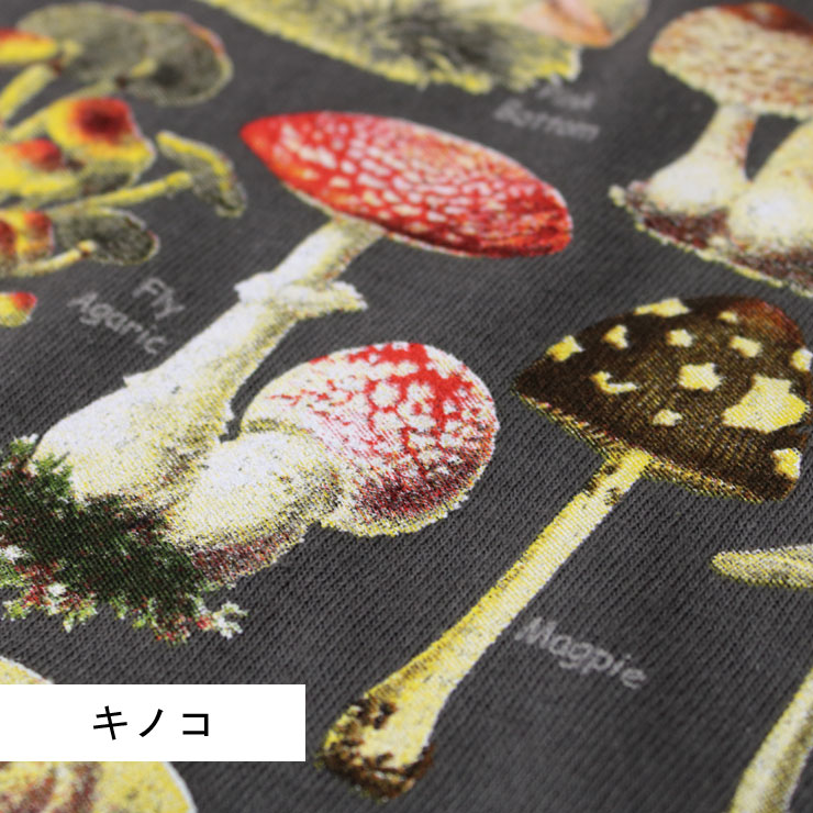protocol ATLAS SCREEN PRINTING アトラススクリーンプリント