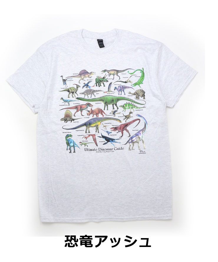 tシャツ 半袖 ATLAS SCREEN PRINTING アトラススクリーンプリント Tee Mサイズ Lサイズ XLサイズ 石 恐竜 自然 |  | 01