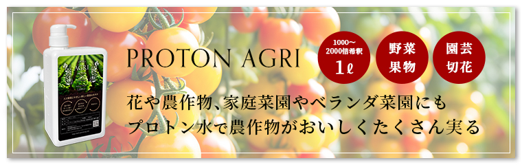 プロトンショップ - Yahoo!ショッピング