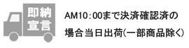 即納！午前10時までは当日出荷