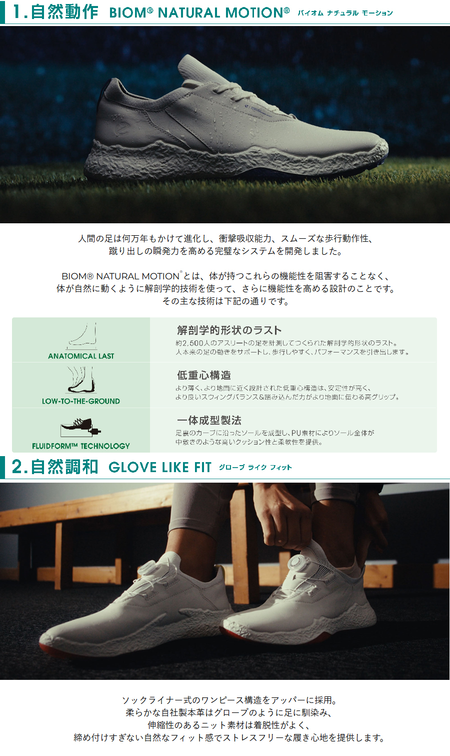 バイオム 【在庫限り】ECCO W GOLF BIOM H5 115003-61058 / エコー