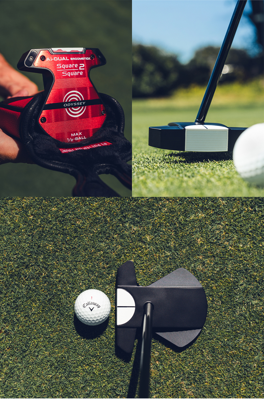 ODYSSEY（キャロウェイゴルフ） ODYSSEY Ai-DUAL Square 2 1/2-BALL