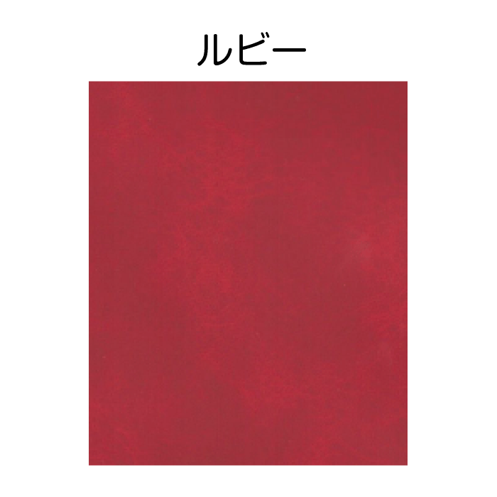 数量限定商品】電子車検証用ソフトケース（専用厚紙付き）・5枚セット