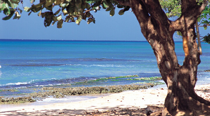 柔らかい K18 ハワイアン リース ネックレス ラニ Hawaiian Jewelry Puaally プアアリ ハワイアン プルメリア 花 リース 4月誕生石 ダイヤモンド 18金 プレゼント ハワイアンジュエリーpuaally 通販 Yahoo ショッピング 人気ブランドを Saleinzucca It