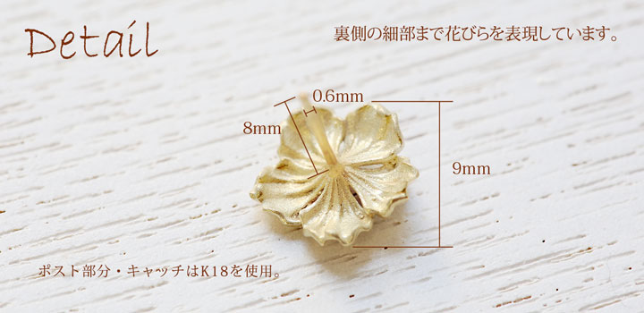 imgrc0066841447.jpg
