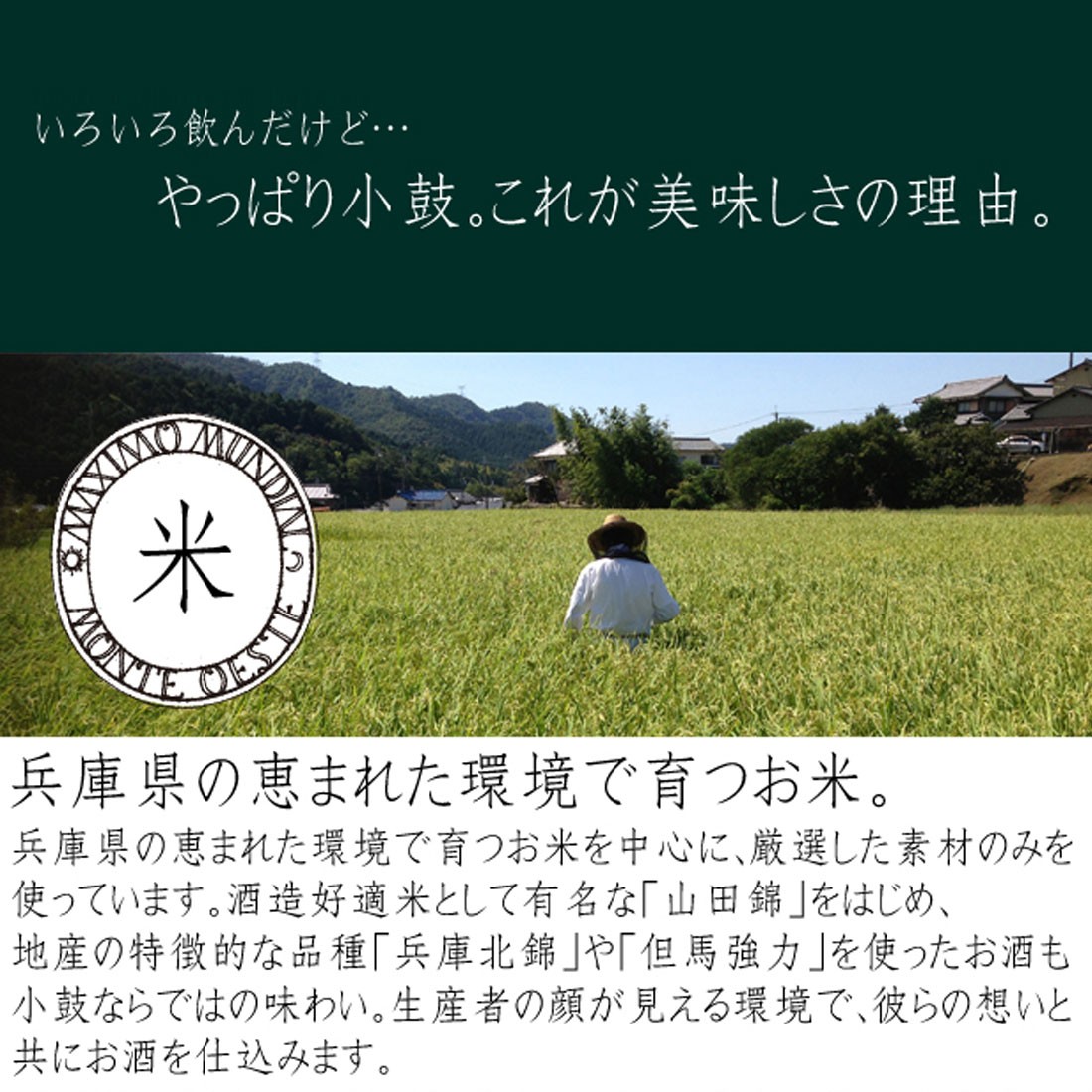 路上有花