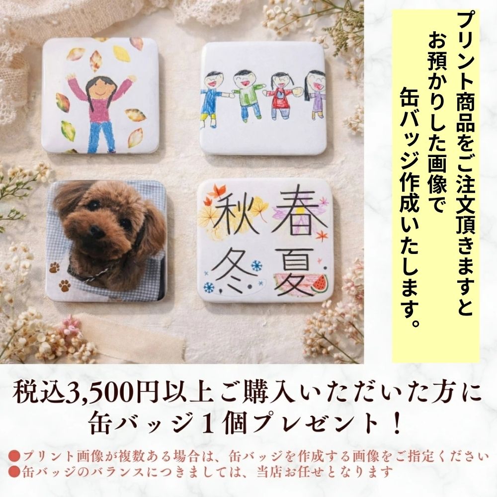 ポーチ