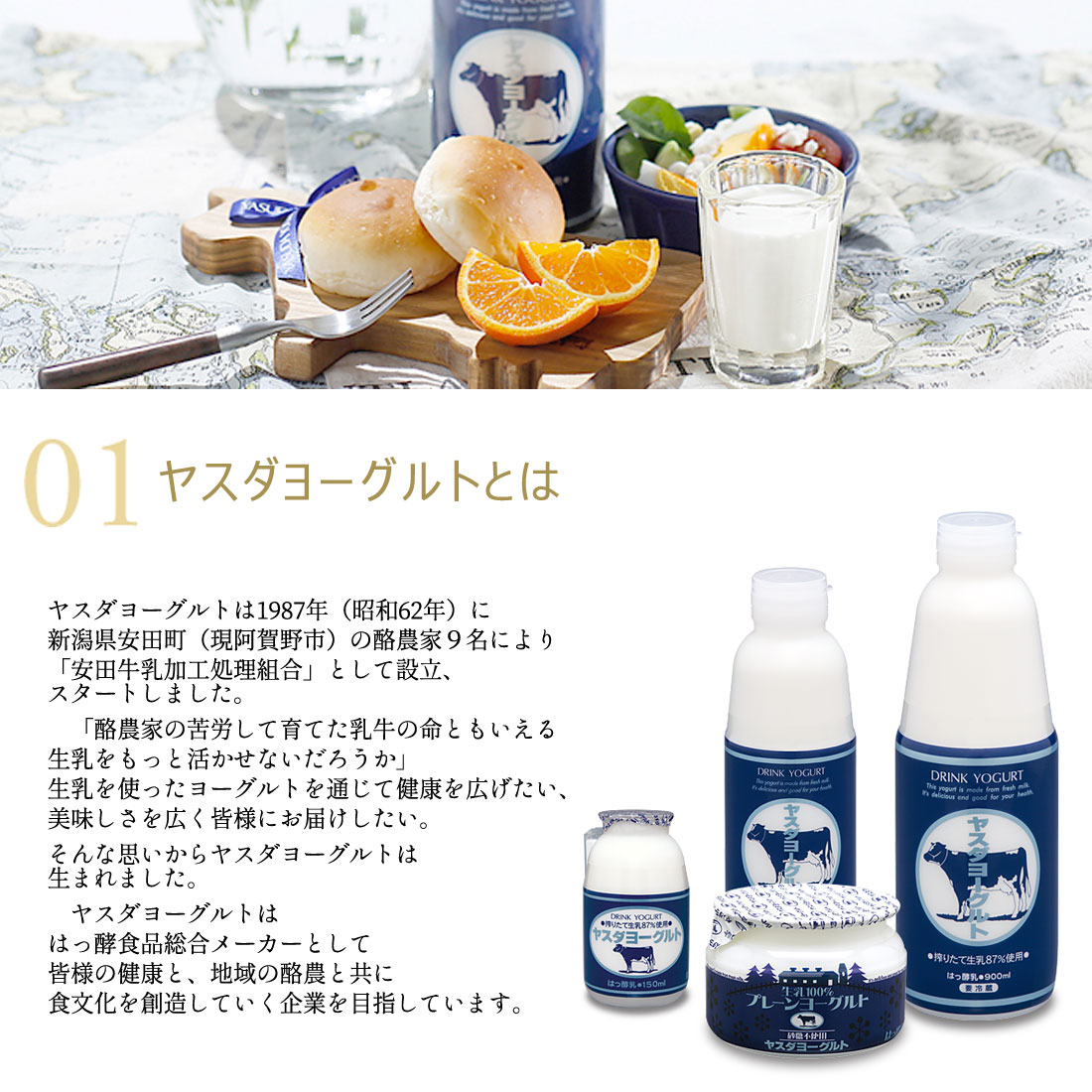 送料無料 新潟県 ヤスダヨーグルト ギフトセット 乳製品 飲むヨーグルト 搾りたて 生乳使用 S2468｜pulchrade-shop｜06