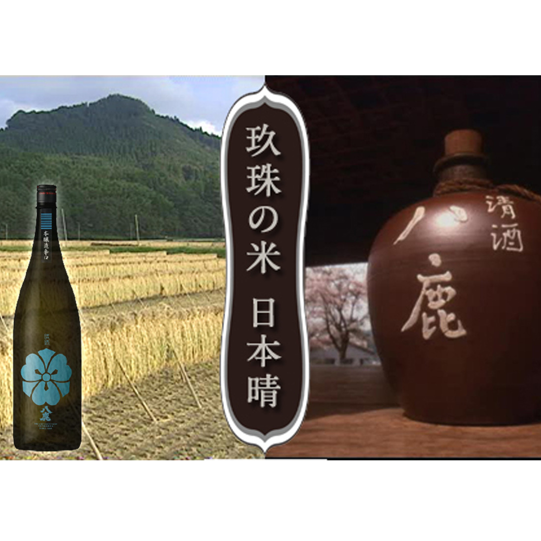 送料無料 八鹿酒造 清酒 日本酒 八鹿本醸造 辛口 青 720ml×1本 化粧箱入 プレゼント 誕生日 贈り物 記念日 お祝い 酒 ギフト  :707-1788:Regaloセレクトギフト - 通販 - Yahoo!ショッピング