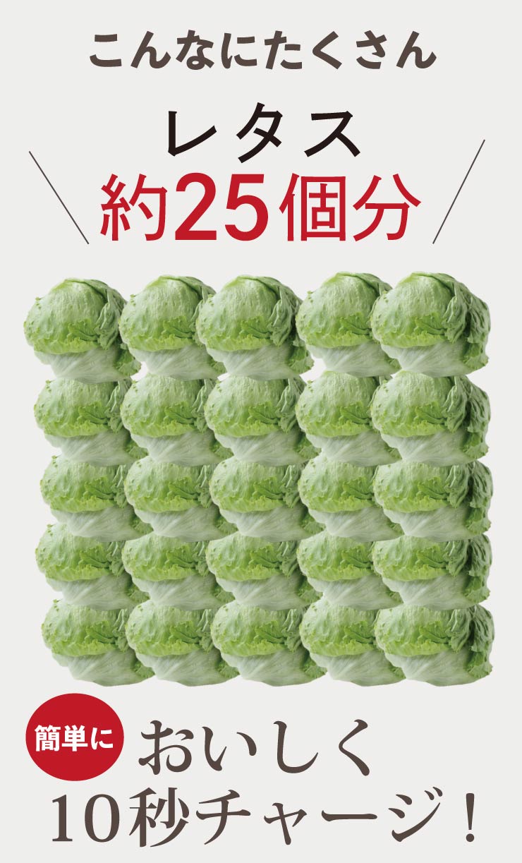 女王様のすごい発酵干し芋 15包 ダイエット食...の詳細画像4