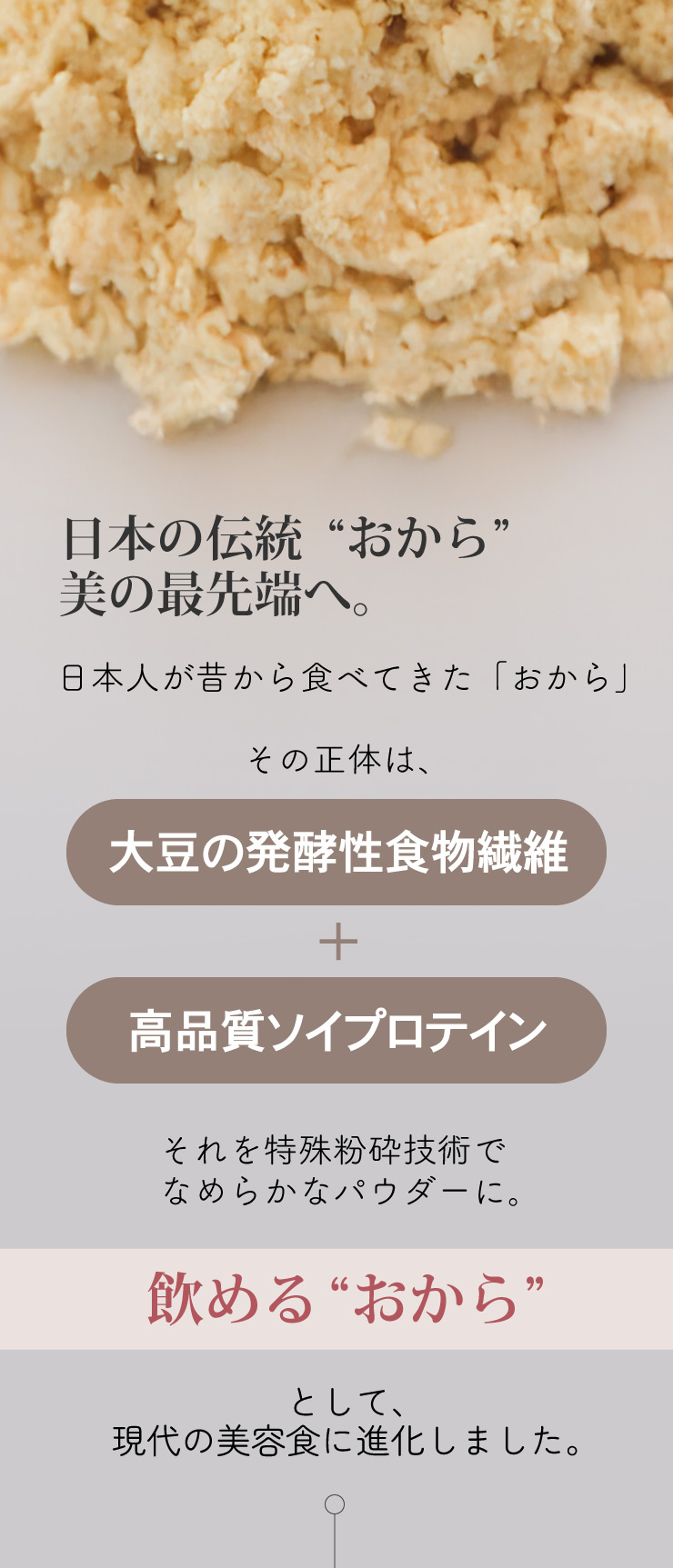 SOY美BALANCE 生きた酪酸菌と発酵性食...の詳細画像2