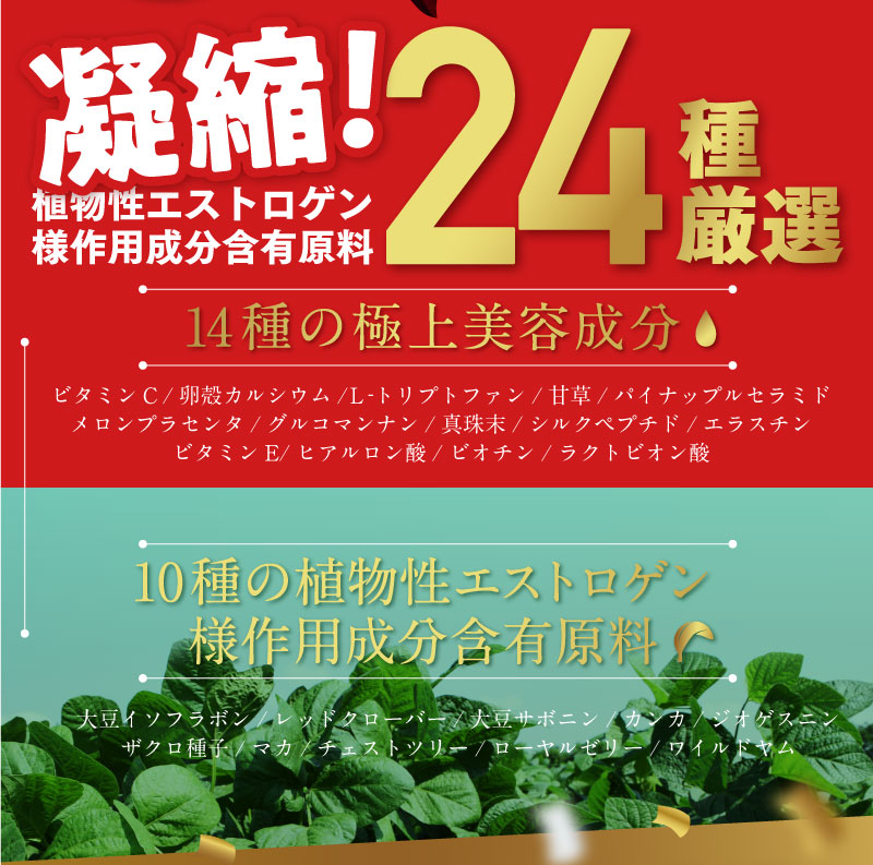 大豆イソフラボン サプリ CUORIA クオリア ププストア 無添加 1袋 送料