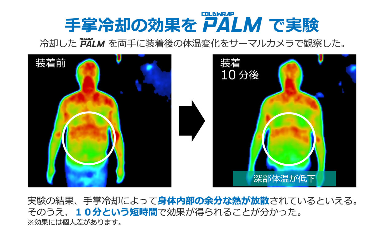 手掌冷却の実験結果