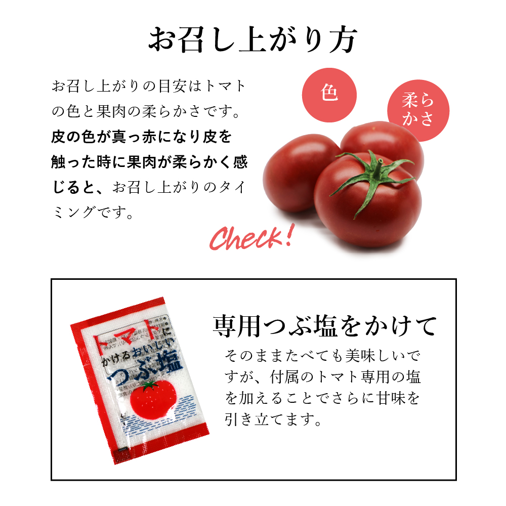 お召し上がり方