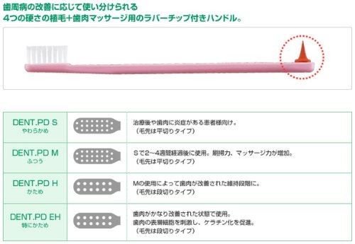 メール便専用」ライオン DENT PD M 歯ブラシ 20本入 [ヘルスケア&ケア