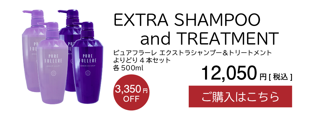 ピュアフラーレ エクストラシャンプートリートメント各500ml ハリ コシ