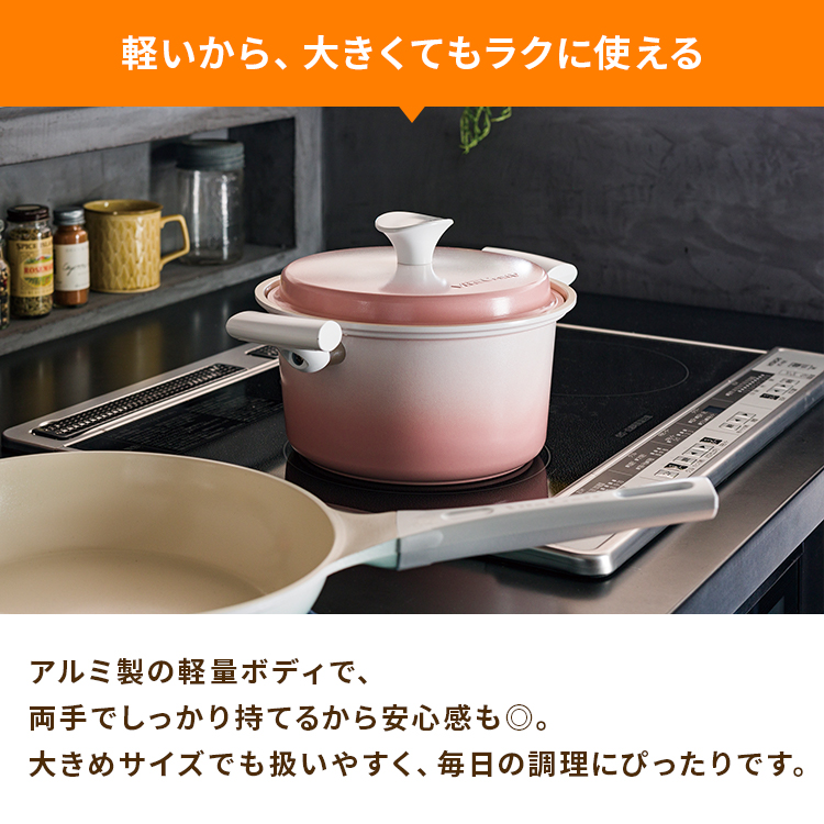 apide（アピデ） （メーカー直送・代引不可）ビタクラフト 両手鍋21cm