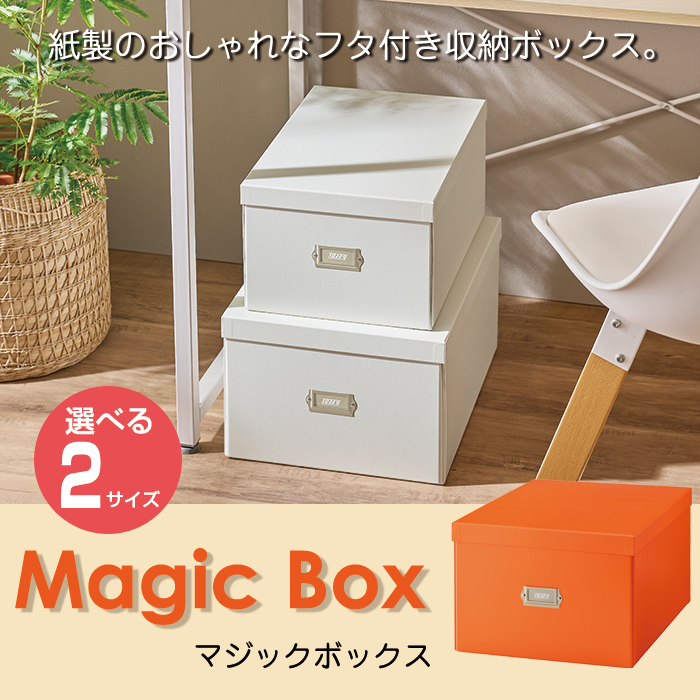 LADONNA（ラドンナ） 収納ボックス 収納ケース Toffy トフィー