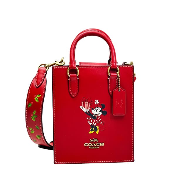 希望額をコメントへ♥DISNEY × COACH トート 極美品 限定 おまけ付 cn022_b4rgo_2.jpg