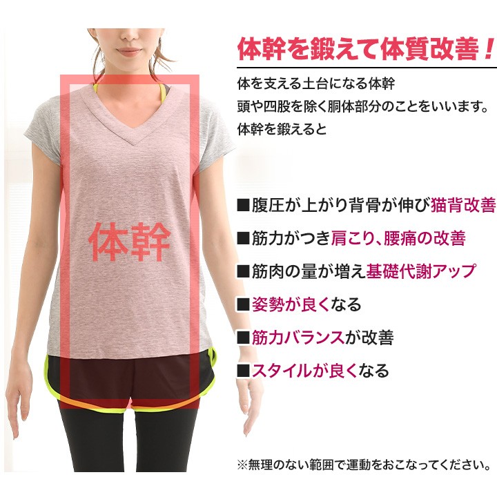 バランスディスク 2個セット 空気入れ付き 体幹 トレーニング : ピュア