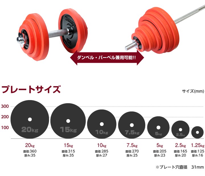 ダンベル・バーベル用 ラバー付プレート 【20kg 1枚単品