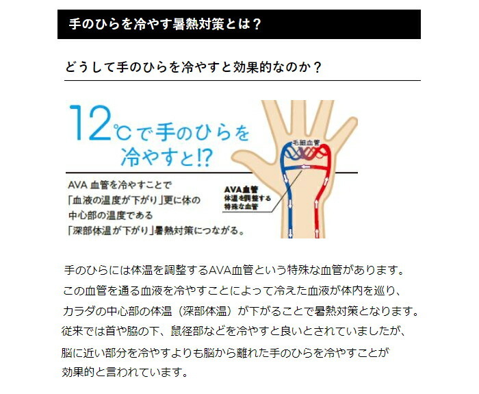 デサント コアクーラー 両手用 適温蓄冷材付きグローブ メンズ レディース ユニセックス DAT-9000 :des-dat9000:ゴルフ プレスト  - 通販 - Yahoo!ショッピング