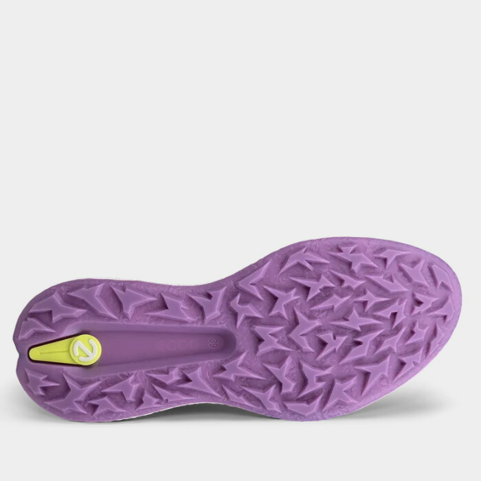 ecco（エコー） レディース ゴルフシューズ W バイオム H5 ウィメンズ