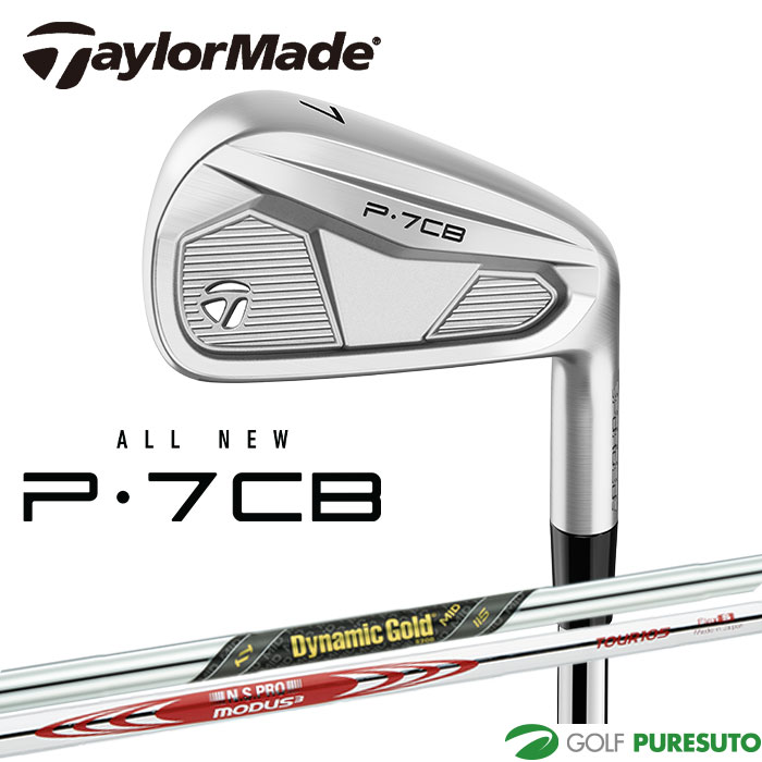 テーラーメイド New P770 （'24）アイアン 単品 （#4、#5） Dynamic Gold MID 115 ／ N.S.PRO MODUS3  TOUR 105 スチールシャフト 2024年モデル Taylormade