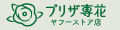プリザ専花 ヤフーストア店 ロゴ