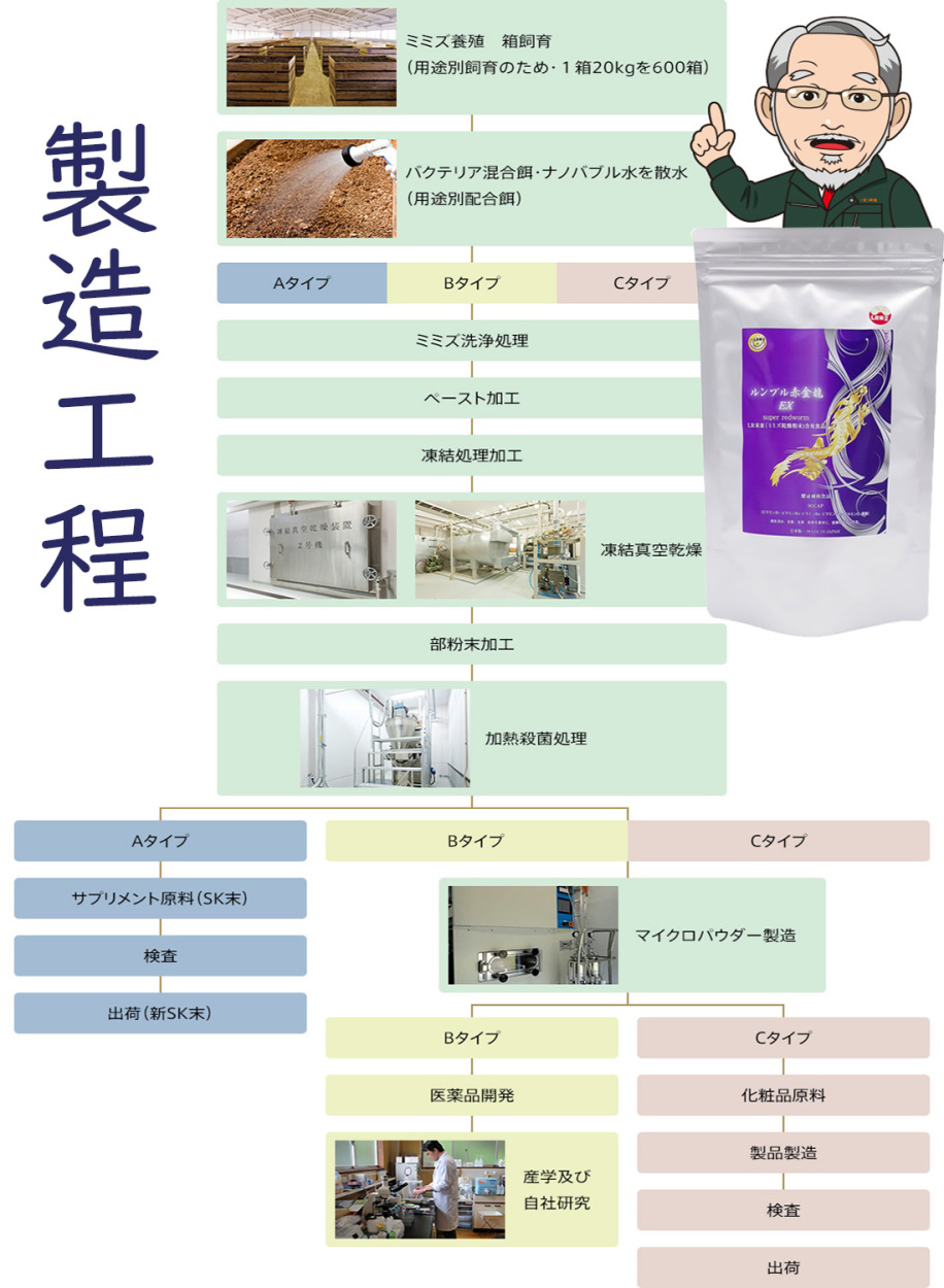 ミミズ酵素 赤ミミズ 乾燥層粉末 LR末III含有食品 ルンブレン 血液サラサラ サプリメント 冷え性 疲労回復 ルンブル赤金龍90カプセル/袋  全国送料無料