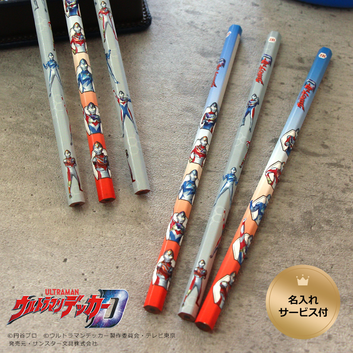 sd-tp019-2b.jpg