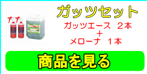 鈴木油脂工業の ガッツエースセット (ガッツエース本体2本+メローナ4L