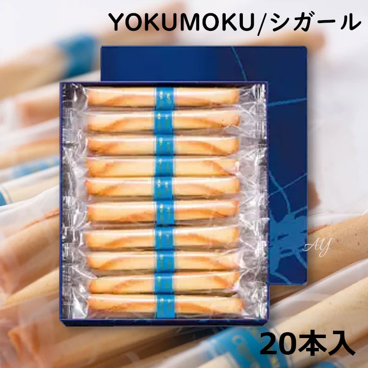 ykm02-ay-01.jpg