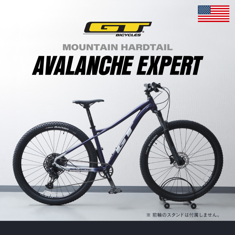 ジーティー 2024年モデル AVALANCHE EXPERT （アバランチェ