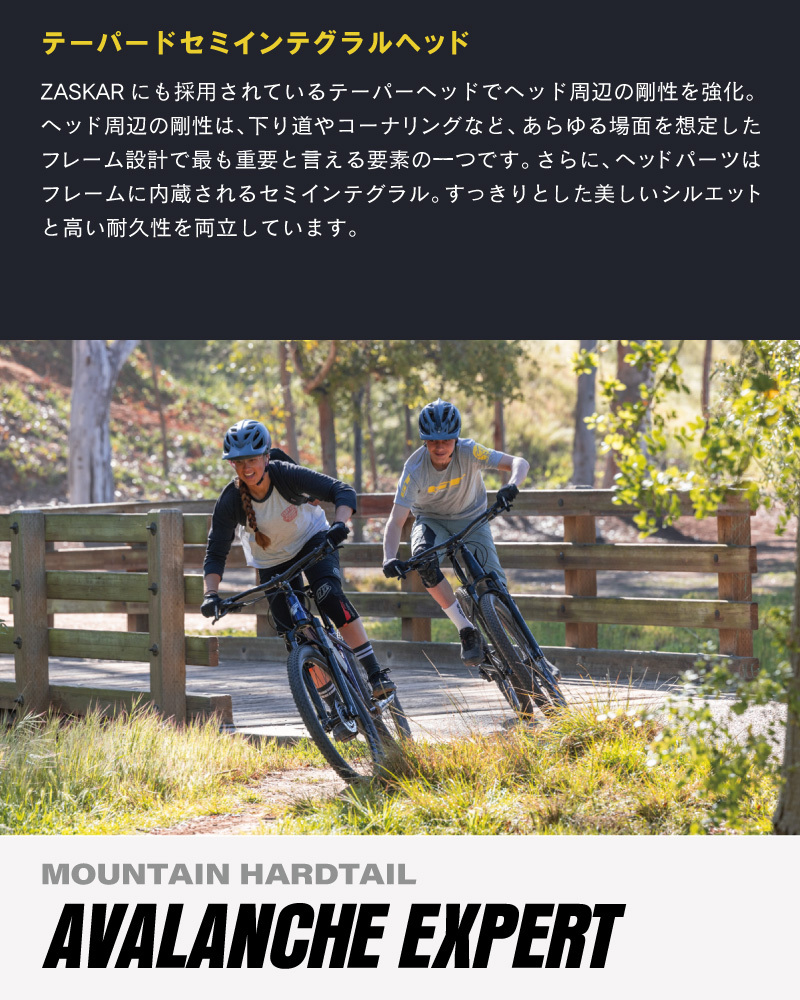 GT AVALANCHE EXPERT