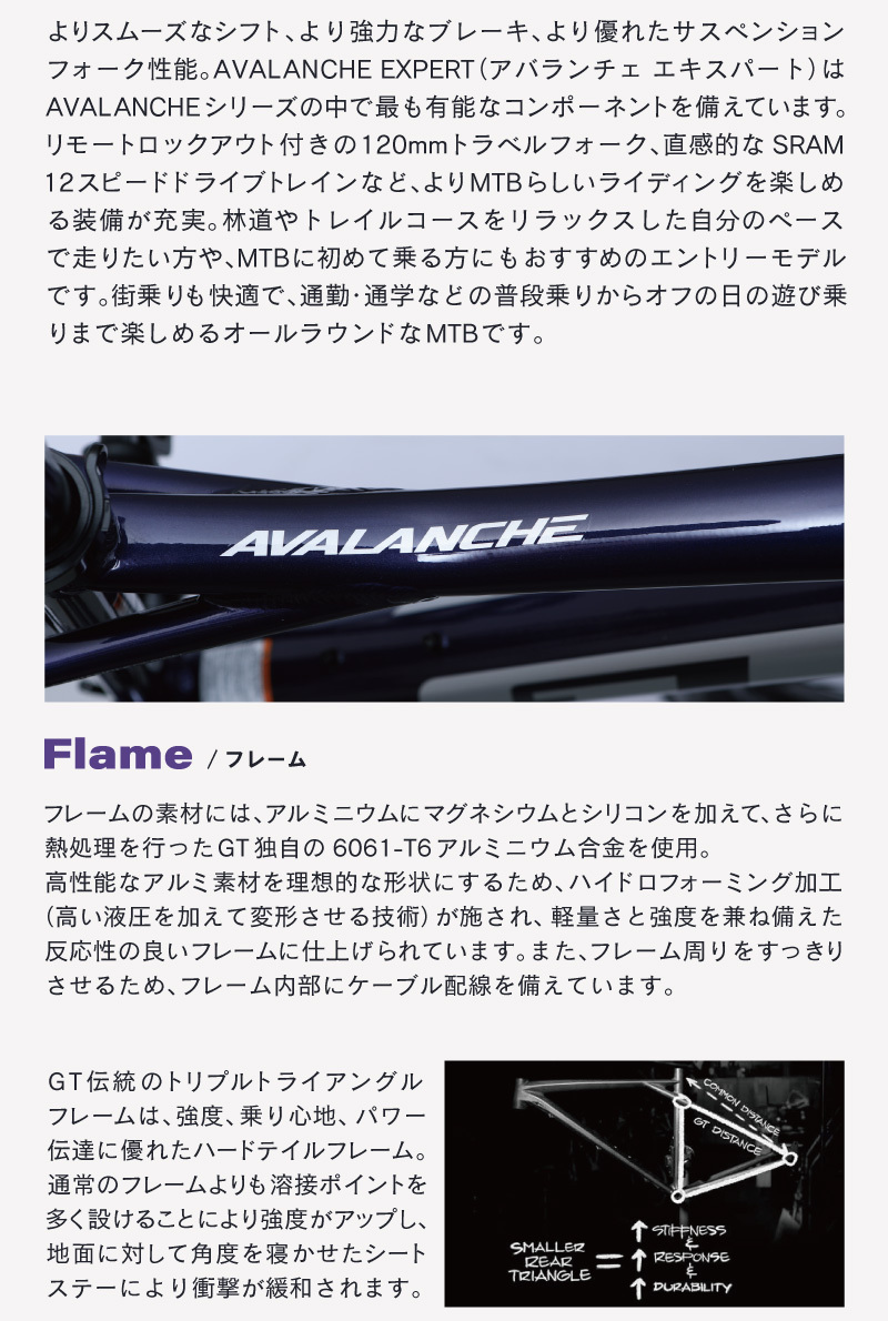  GT AVALANCHE EXPERT