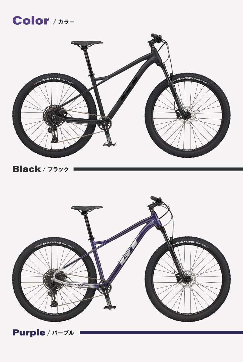  GT AVALANCHE EXPERT