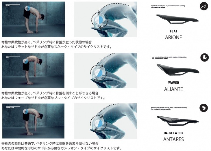 フィジーク ALIANTE Gamma k：ium Rail （アリアンテガンマ