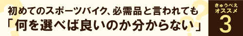 ティーエヌアイ Alu Post（アルミポスト） φ31.6/350mm 黒 TNI : tni